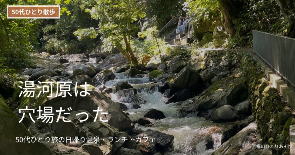 湯河原の渓流｜緑豊かな自然の中を流れる清流