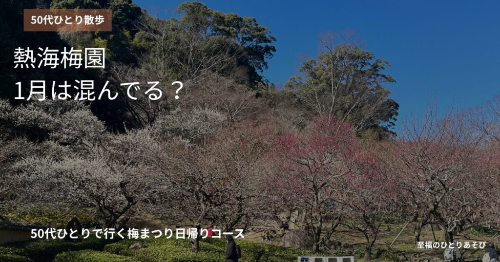 熱海梅園の白梅と紅梅、1月の梅まつり前半・青空の園内